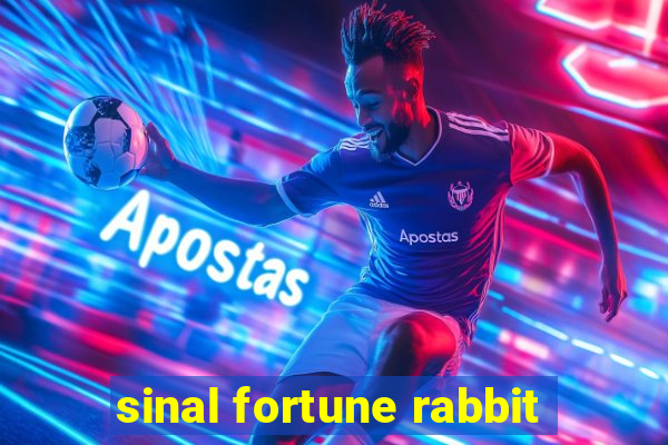 sinal fortune rabbit